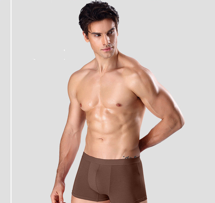 Modal Mid-Level Boxer Brief