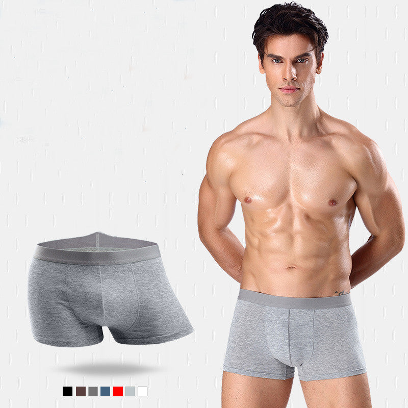 Modal Mid-Level Boxer Brief