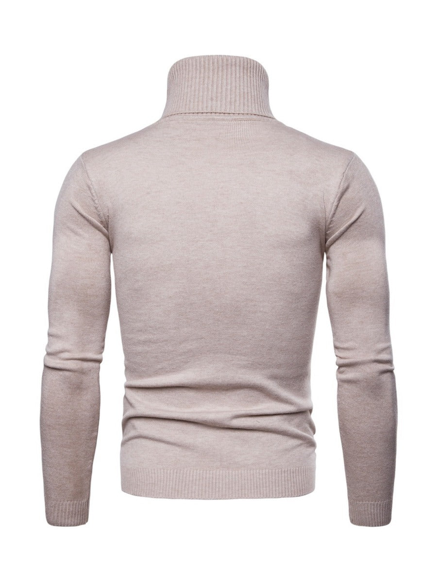 Solid Classic Slim Fit Turtleneck