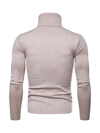 Solid Classic Slim Fit Turtleneck