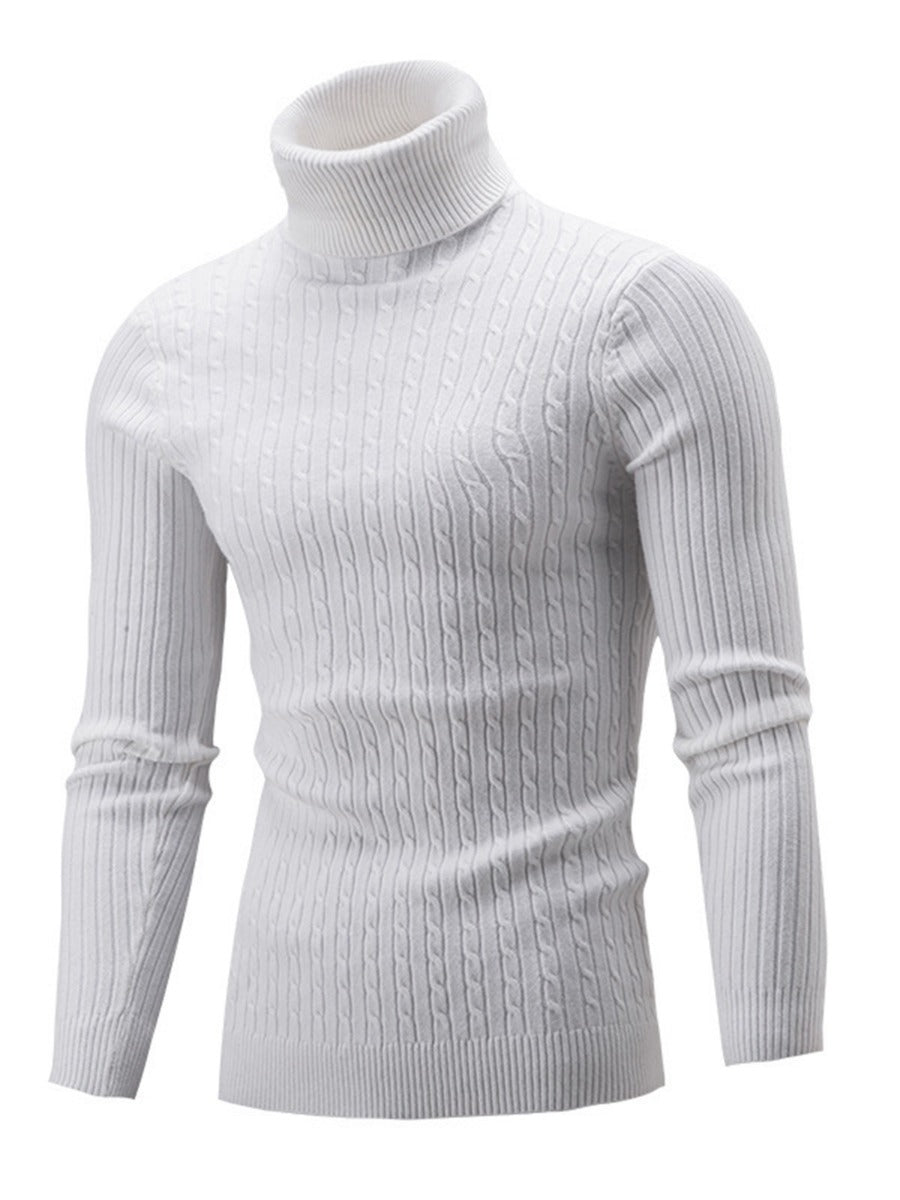 Solid Classic Cable & Ribbed Knit Turtleneck