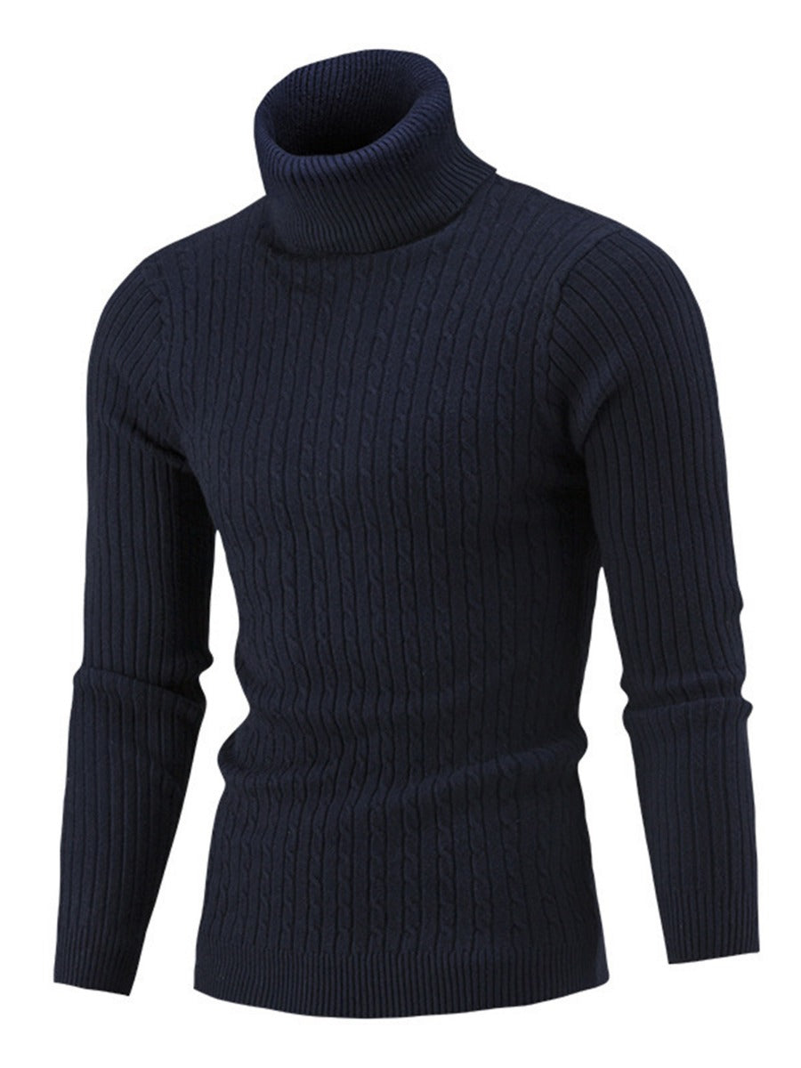 Solid Classic Cable & Ribbed Knit Turtleneck