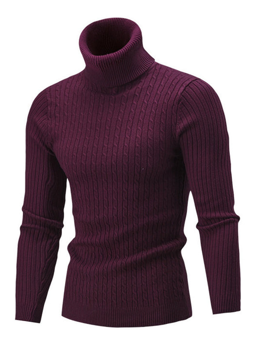 Solid Classic Cable & Ribbed Knit Turtleneck