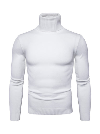 Solid Classic Slim Fit Turtleneck