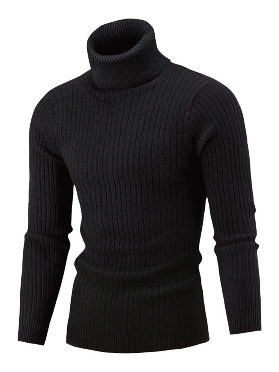 Solid Classic Cable & Ribbed Knit Turtleneck