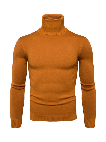 Solid Classic Slim Fit Turtleneck