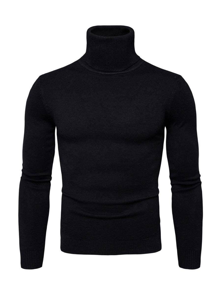 Solid Classic Slim Fit Turtleneck